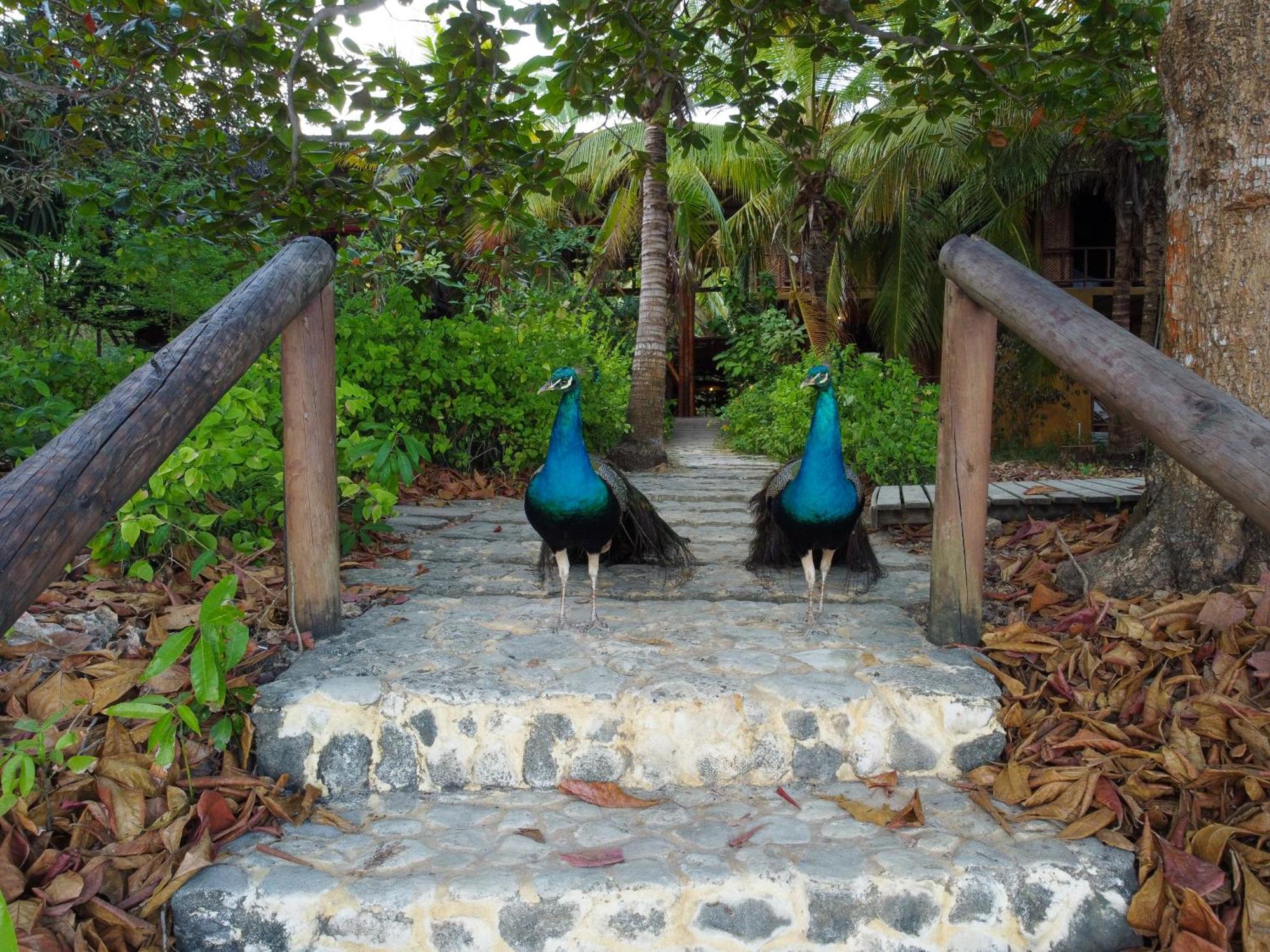 Vila Isla Fuerte Eco House Puerto Limon Exteriér fotografie