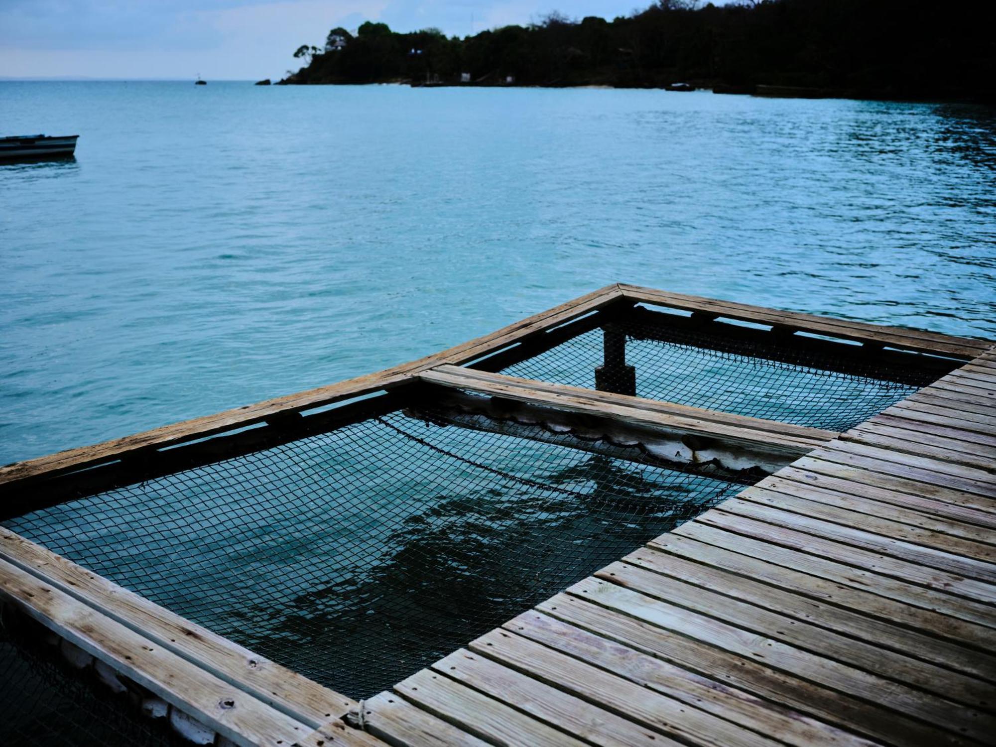 Vila Isla Fuerte Eco House Puerto Limon Exteriér fotografie